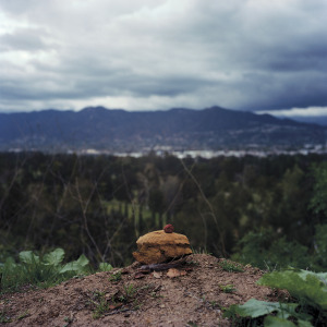 Mercedes Dorame, 2013