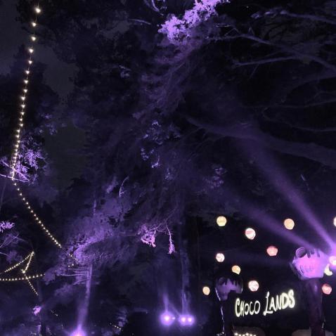 13872771_10154508766694658_8837049931209632154_n